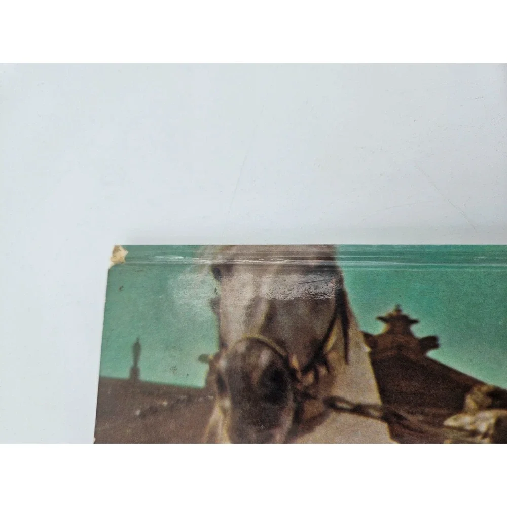 Vintage Ben Hur Making Of Book MGM Random House Film Movie History Illustrated